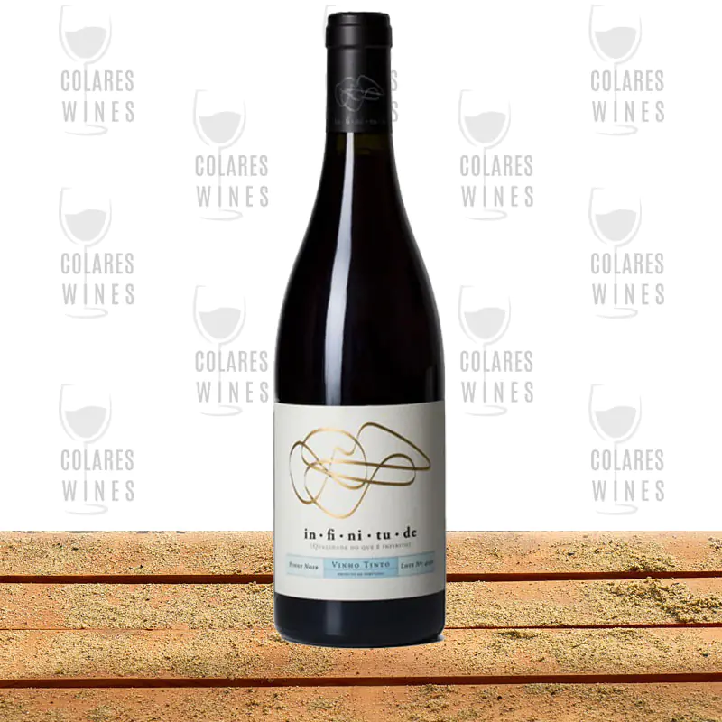 Infinitude Pinot Noir Tinto 2018 1 Infinitude Pinot Noir Tinto