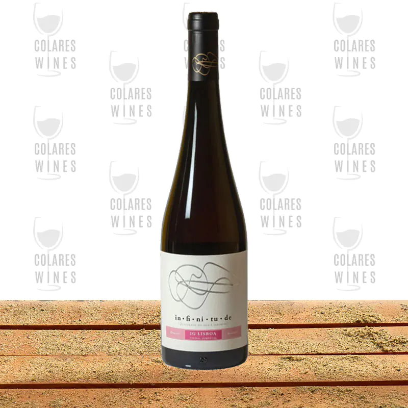 Infinitude Rosado Rosé 2022 1 Infinitude Rosado Rosé