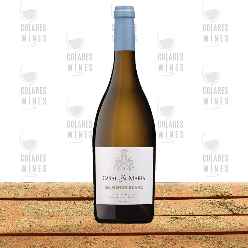 Casal Sta. Maria Sauvignon Blanc Branco 2021 1 Casal Sta. Maria Sauvignon Blanc Branco