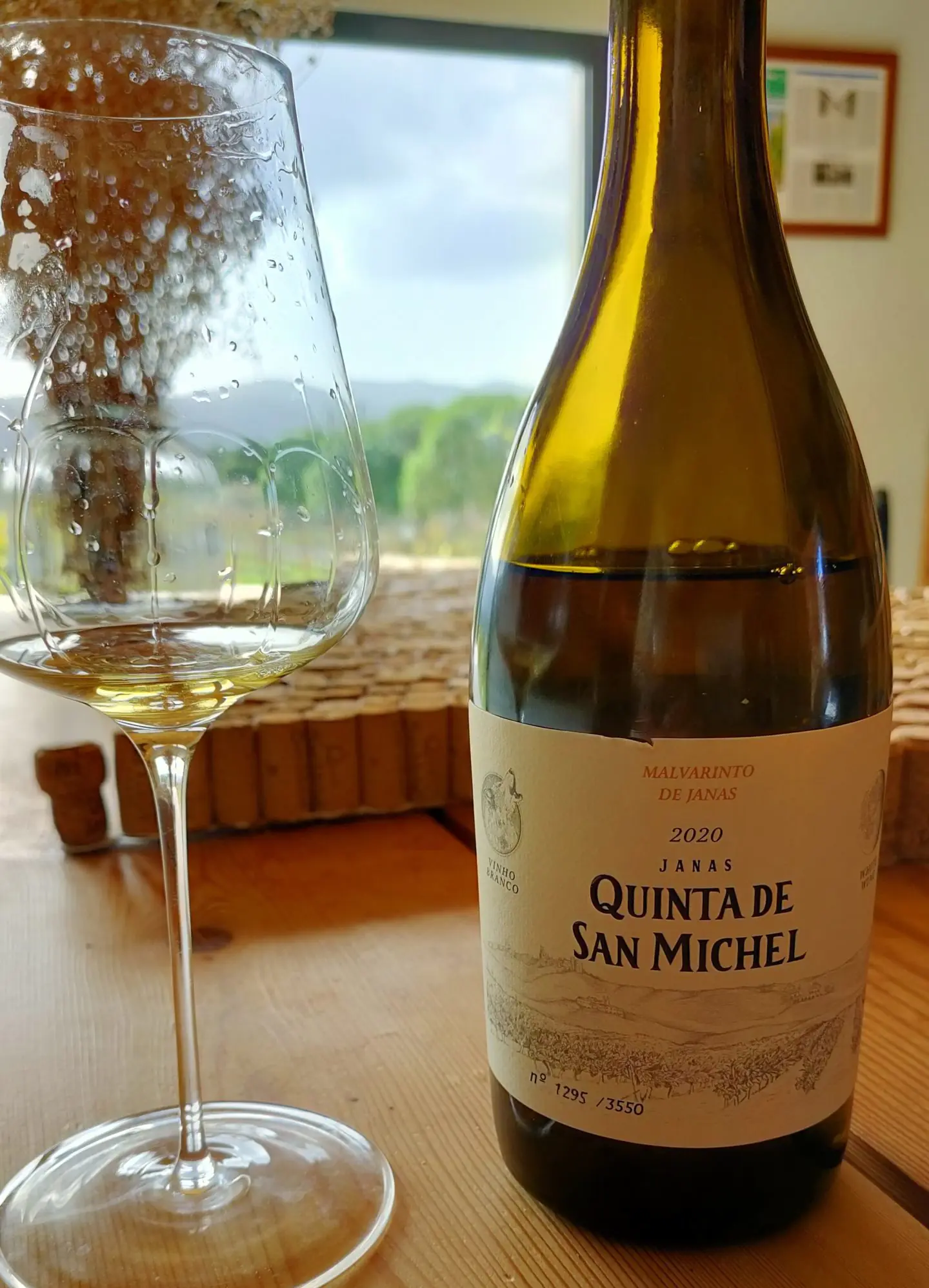 Em Janas na Quinta de San Michel existe o Malvarinto 1 Em Janas na Quinta de San Michel existe o Malvarinto