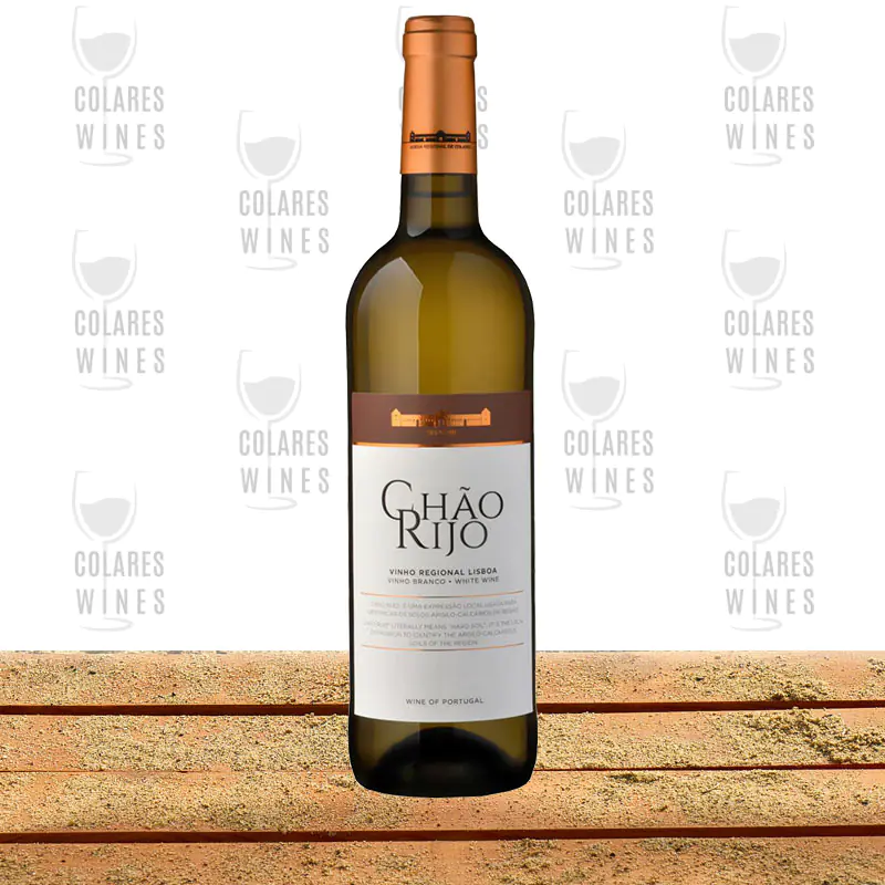 Chão Rijo Branco 2023 1 Chão Rijo Branco